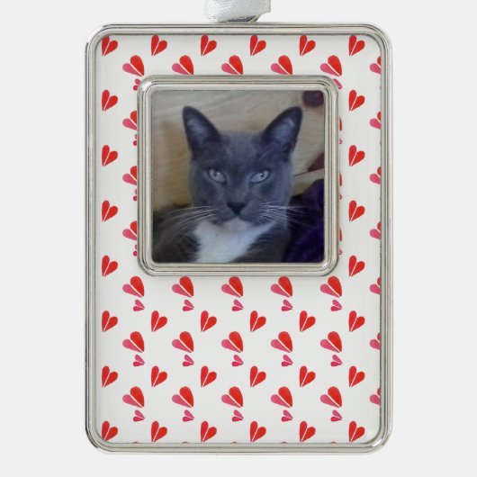 PET LOVE ingelijst Verticaal Ornament / Harten (Voorkant)