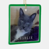 PET LOVE Keramiek Vierkant Ornament / Groen (Rechts)