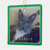 PET LOVE Keramiek Vierkant Ornament / Groen (Links)