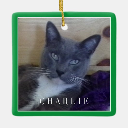 PET LOVE Keramiek Vierkant Ornament / Groen (Voorkant)