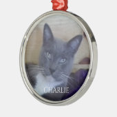 PET LOVE Premium Rond Ornament (Links)
