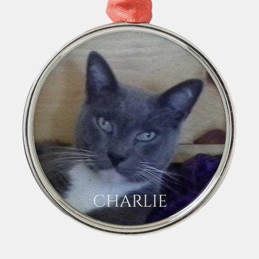 PET LOVE Premium Rond Ornament (Voorkant)