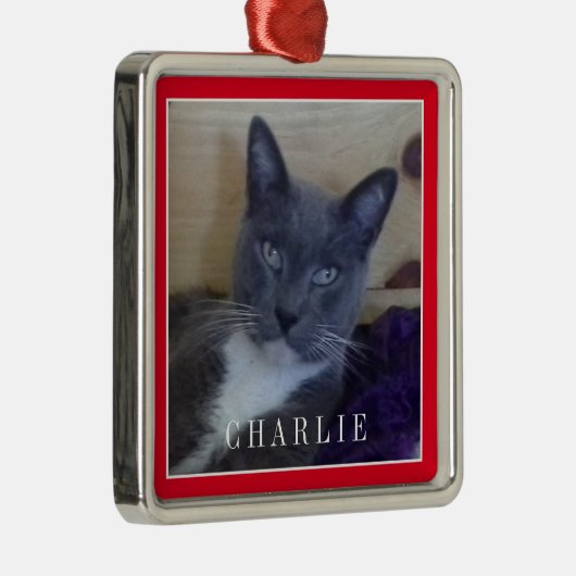 PET LOVE Premium Square Ornament - Rood (Rechts)