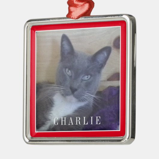 PET LOVE Premium Square Ornament - Rood (Links)