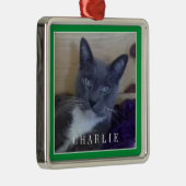 PET LOVE Premium Vierkant Ornament / Groen (Rechts)