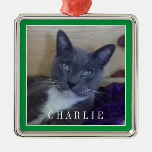 PET LOVE Premium Vierkant Ornament / Groen (Voorkant)