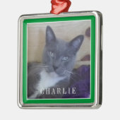 PET LOVE Premium Vierkant Ornament / Groen (Links)
