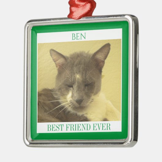 PET LOVE Premium Vierkant Ornament + Tekst / Groen (Links)