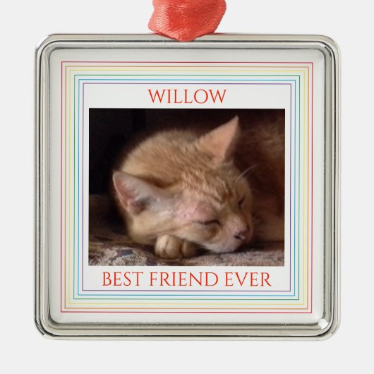 PET LOVE Premium Vierkant Ornament + Tekst / Regen (Voorkant)