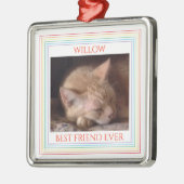 PET LOVE Premium Vierkant Ornament + Tekst / Regen (Links)