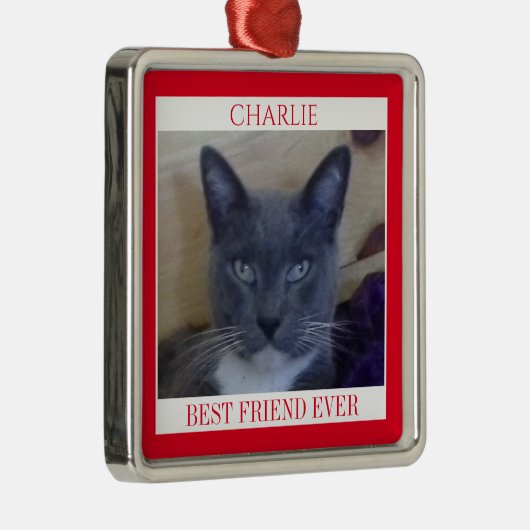 PET LOVE Premium Vierkant Ornament + Tekst / Rood (Rechts)