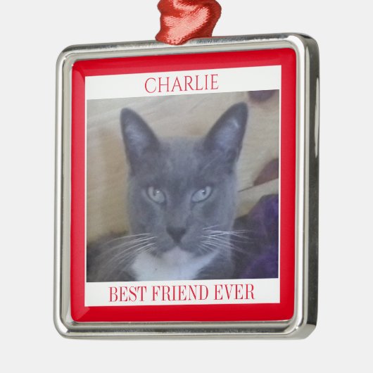 PET LOVE Premium Vierkant Ornament + Tekst / Rood (Links)