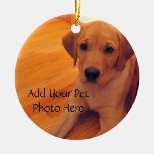 Pet Lover Animal Photo Ornament (Voorkant)