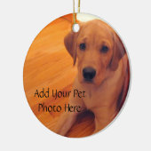 Pet Lover Animal Photo Ornament (Links)