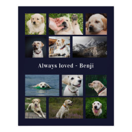 Pet Lover Keepsake Perfect Poster