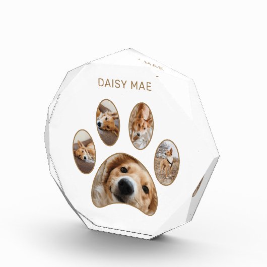 Pet Lovers Custom Gold Paw Print Name Collage Fotoblokken (Rechts)