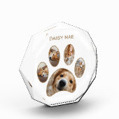 Pet Lovers Custom Gold Paw Print Name Collage Fotoblokken (Links)