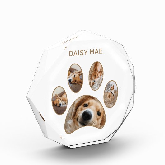Pet Lovers Custom Gold Paw Print Name Collage Fotoblokken (Links)