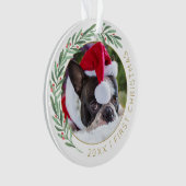 Pet Lovers Groen & Goud Onze eerste Kerstfoto Ornament (voorkant)