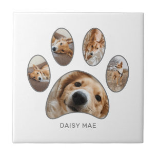 Pet Lovers Silver Paw Print Photo Collage - Aangep Tegeltje