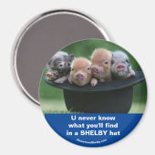 Pet Magneet (Voorkant / Achterkant)