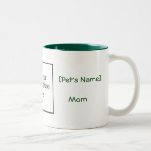 Pet mam Grote Mok