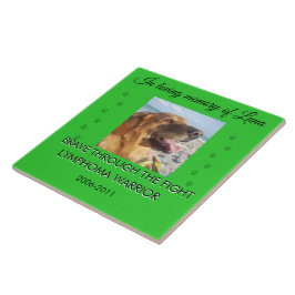 Pet Memorial 1 Photo - Brave Through The Fight  Tegeltje