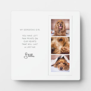 Pet Memorial 3 Citaat voor herdenking van fotocoll Fotoplaat