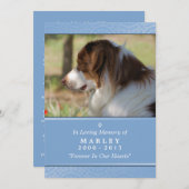 Pet Memorial 5x7 - Blue Rainbow Bridge (VROUW) Programmakaart (Voorkant / Achterkant)