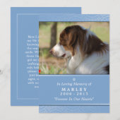 Pet Memorial 5x7 Light Blue Contited Poem Programmakaart (Voorkant / Achterkant)