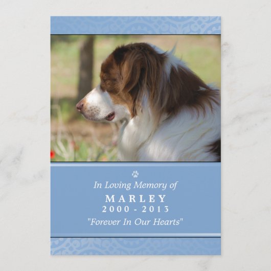 Pet Memorial 5x7 Light Blue Contited Poem Programmakaart (Voorkant)