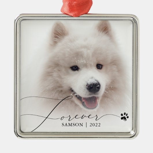 Pet Memorial | Aangepaste foto-opmaakpagina Metalen Ornament (Voorkant)