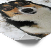 Pet Memorial Aangepaste Hond 8 Fotocollage Poster (Hoek)
