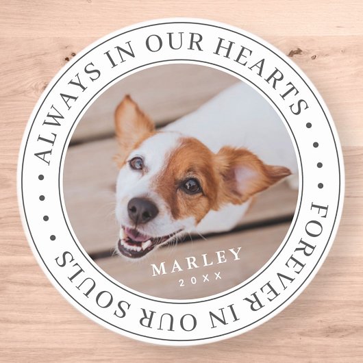 Pet Memorial altijd in ons hart Moderne foto Ronde Sticker