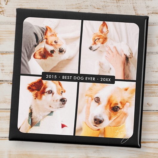 Pet Memorial Beste Hond Ooit Moderne Fotocollage Magneet