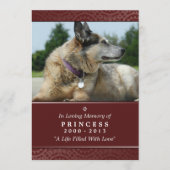 Pet Memorial Card 5"x7" Rainbow Bridge (mannelijk) Programmakaart (Voorkant)