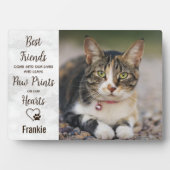 Pet Memorial Cat Fotoplaque Fotoplaat (voorkant)