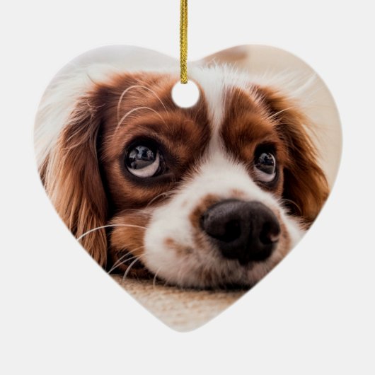 Pet Memorial | Creëer Uw eigen foto Keramisch Ornament (Achterkant)