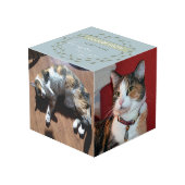 Pet Memorial Custom 4 Foto Kubus (Achter hoekig)