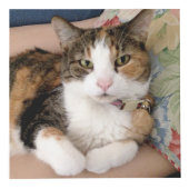 Pet Memorial Custom 4 Foto Kubus (Voorkant)