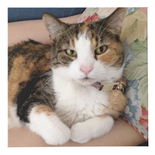 Pet Memorial Custom 4 Foto Kubus (Voorkant)