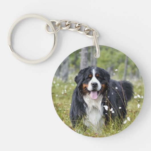 Pet Memorial Custom Dog Foto Rainbow Pet Loss Sleutelhanger (Voorkant)