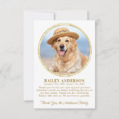 Pet Memorial Custom Foto Elegant Goud Sympathie Bedankkaart (Voorkant)
