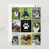 Pet Memorial Custom Hond Collage in Loving Memory Briefkaart (Voorkant / Achterkant)