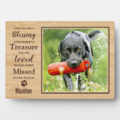 Pet Memorial Dog Foto Fotoplaat (voorkant)