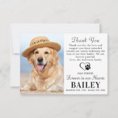 Pet Memorial Dog Loss Modern Photo Sympathie Bedankkaart (Voorkant)