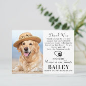 Pet Memorial Dog Loss Modern Photo Sympathie Bedankkaart (Staand voorkant)