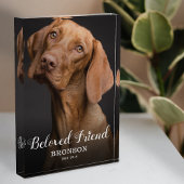 Pet Memorial | Dog Photo Beloved Friend Fotoblokken