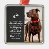 Pet Memorial Eenvoudig Modern Chique Gedicht Foto Metalen Ornament (Voorkant)