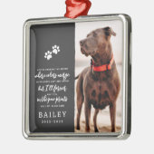 Pet Memorial Eenvoudig Modern Chique Gedicht Foto Metalen Ornament (Links)